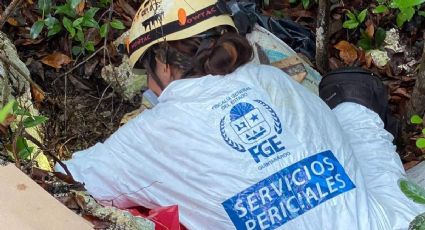 Hallan siete osamentas en zona maya de Quintana Roo