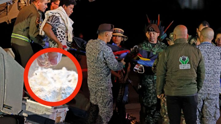 ¿Qué comieron 3 niñas y 1 niño, perdidos 40 días en la selva de Colombia?