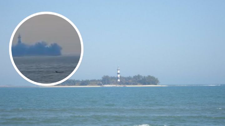 VIDEO: Delfín sorprende veracruzanos nadando frente a la Isla de Sacrificios