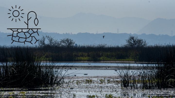 Estos 64 municipios de Veracruz presentan índice anormal de sequía