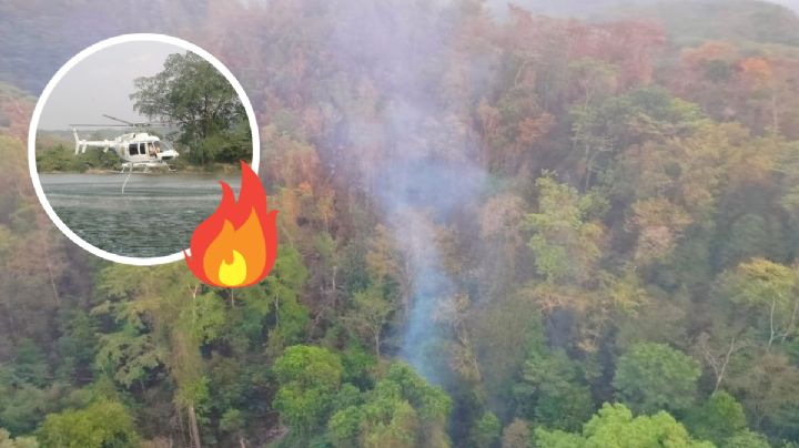 Incendio en selva del sur de Veracruz lleva 22 días activo. Esto ha pasado