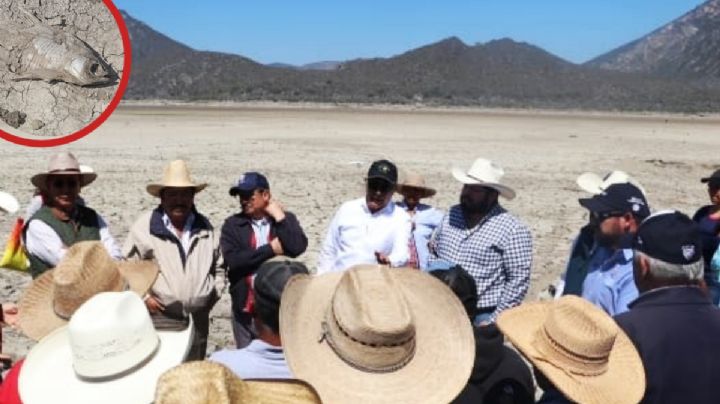 “Queremos trabajar”: pescadores de Metztitlán, desempleados por desecación de la laguna