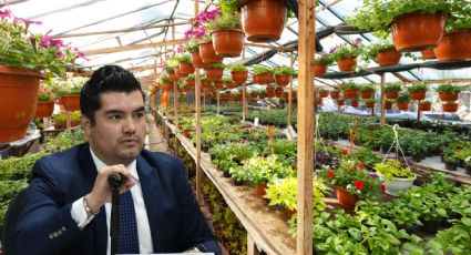 En este municipio cultivan alimentos y plantas con agua robada a la Caasim