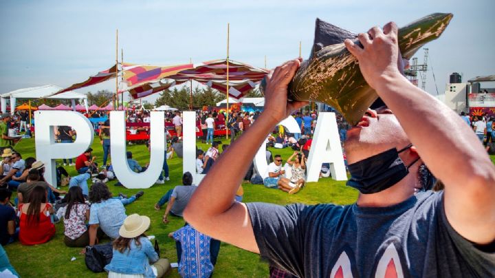 Pulcata Fest Hidalgo: Lánzate por unos buenos pulques este fin de semana; aquí los detalles