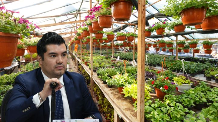 En este municipio cultivan alimentos y plantas con agua robada a la Caasim