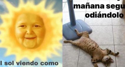 Estos son los mejores memes de la ola de calor en Guanajuato