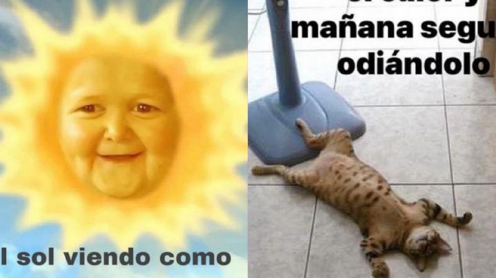 Estos son los mejores memes de la ola de calor en Guanajuato