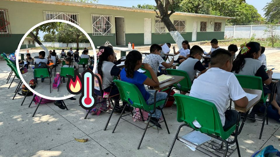 alumnos toman clases debajo de árboles en Veracruz