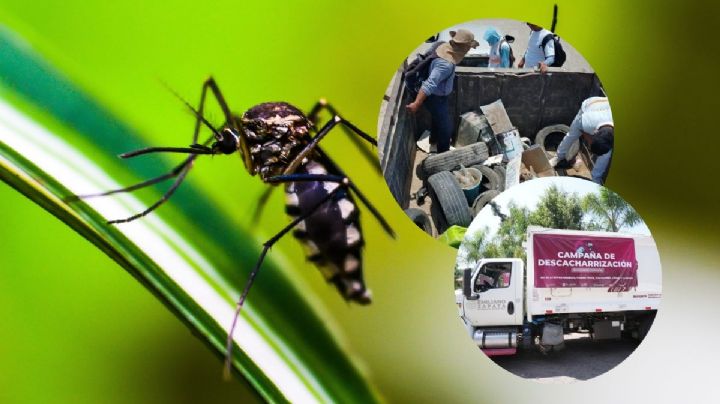 Contra el dengue: inicia descacharrización en Emiliano Zapata, Veracruz