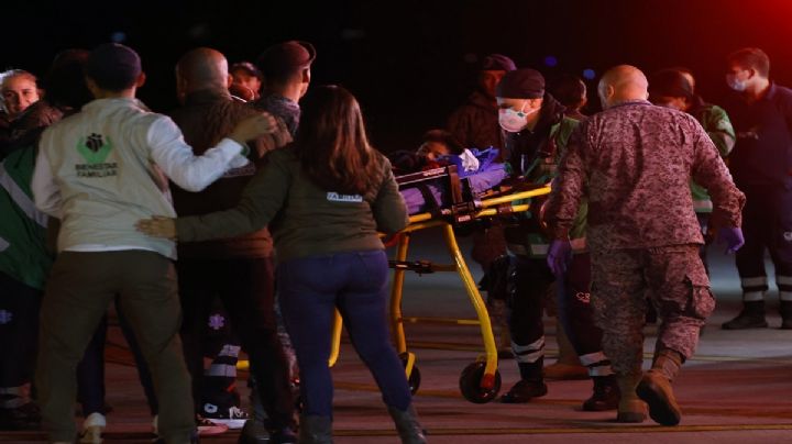 ¿Dónde está Wilson, el perro rastreador que ayudó en el rescate de cuatro niños?