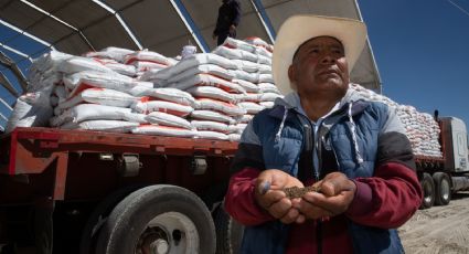 "No se importará maíz blanco, se comprará a productores nacionales": AMLO