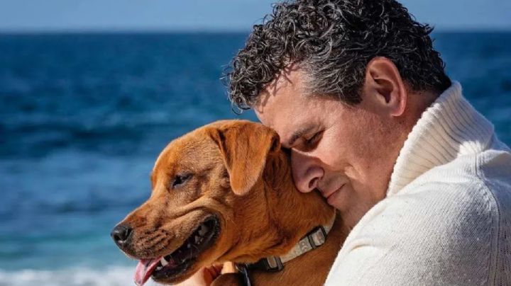 Internautas se lanza contra Marco Antonio Regil por poner adopción a su perrita