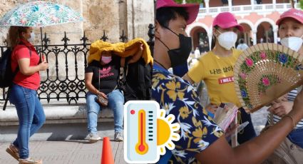 ¡Nos vamos a derretir!: Pronostican temperaturas de más de 40°C en 14 estados