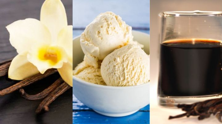 Veracruz es líder productor de vainilla de México. Mira qué municipios