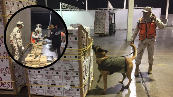 Encuentran drogas y cargadores de armas en estas paqueterías de Veracruz