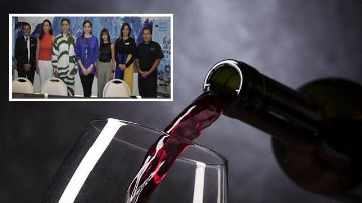 Tinto Bajío: el evento para los amantes del vino tinto presenta su octava edición