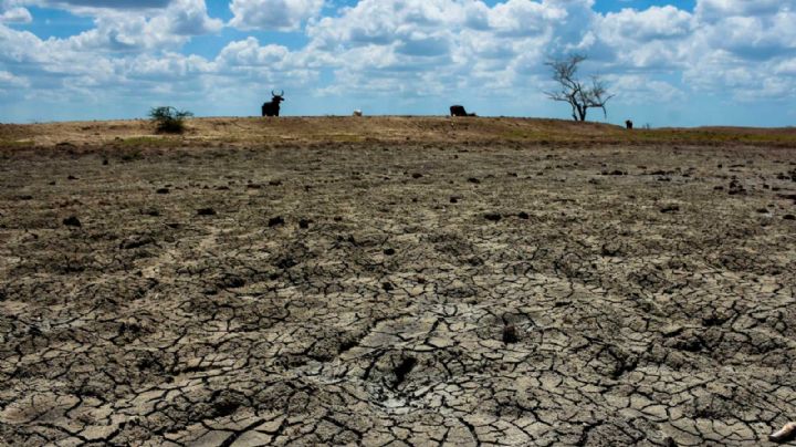 La narrativa global y el arte evadir la responsabilidad climática