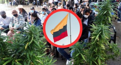 ¿Por qué el Senado echó para atrás legalización de la marihuana en Colombia?
