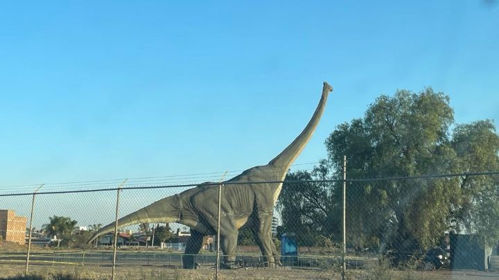 Aparece un dinosaurio en el bulevar López Mateos, ¿de qué se trata?