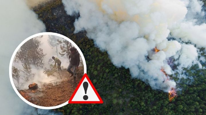 Incendios en Cofre de Perote: Brigadistas urgen donaciones para jornadas