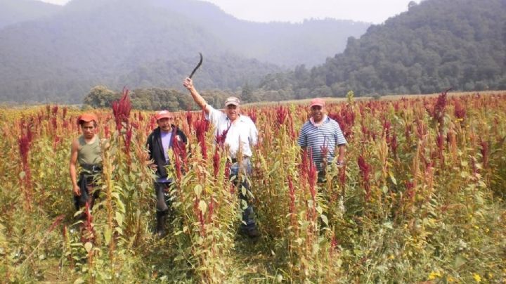 Catedráticos exigen justicia ante ambientalistas asesinados en Edomex