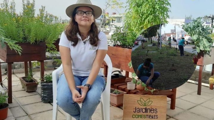 Jardines Comestibles, una alternativa para mitigar el calor en Veracruz
