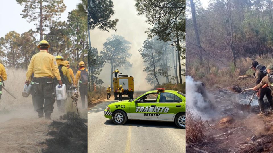 19 incendios forestales en Veracruz
