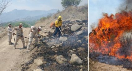 Sonora arde en verano: incendios no dan tregua; 40 mil hectáreas afectadas