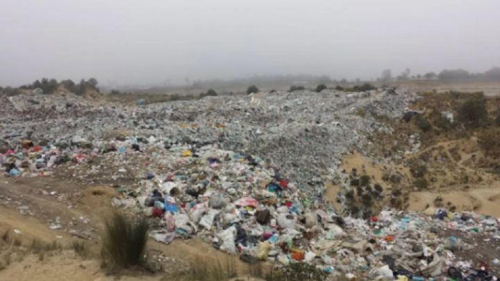 Un mejor manejo de la basura de los municipios de Veracruz: esto propone diputado