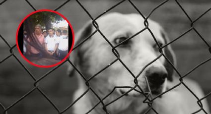 Captan en video maltrato de director de escuela de Oaxaca contra un perro