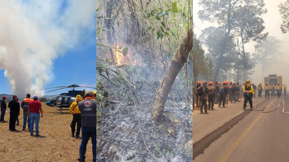 Siguen incendios forestales en Veracruz