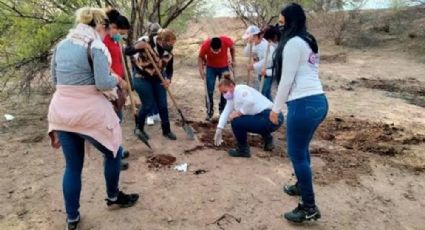 La violencia, como solución, ya no es viable; urge reforzar llamado a la paz: Madres buscadoras