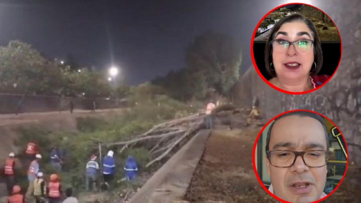 Condenan tala de árboles de Ale Gutiérrez