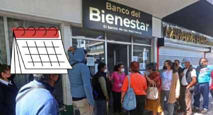 Bienestar: Inicia registro para personas con discapacidad en Veracruz