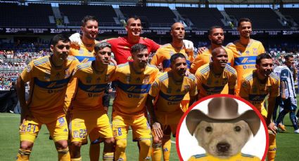 Los mejores MEMES del título de Tigres en el Campeón de Campeones ante Pachuca