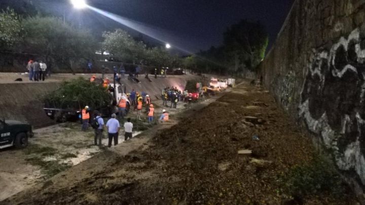 La Ibero León se pronuncia en contra de la tala de árboles
