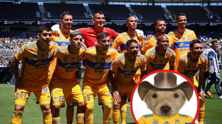 Los mejores MEMES del título de Tigres en el Campeón de Campeones ante Pachuca