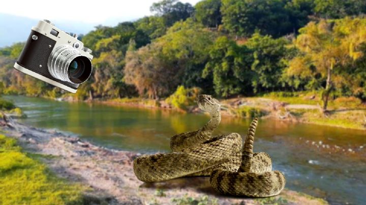 Pánico en Amajac: localizan enorme víbora de cascabel entre turistas | FOTOS