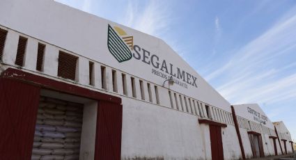 Segalmex, una vergüenza nacional