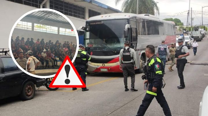 Detienen a 122 migrantes dentro de autobús en Córdoba; mujer dio a luz a bebé