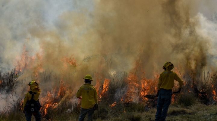 Puebla analiza prohibir “quemas controladas”, para evitar incendios forestales
