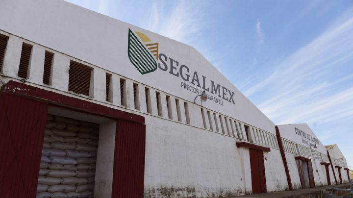 Segalmex, una vergüenza nacional