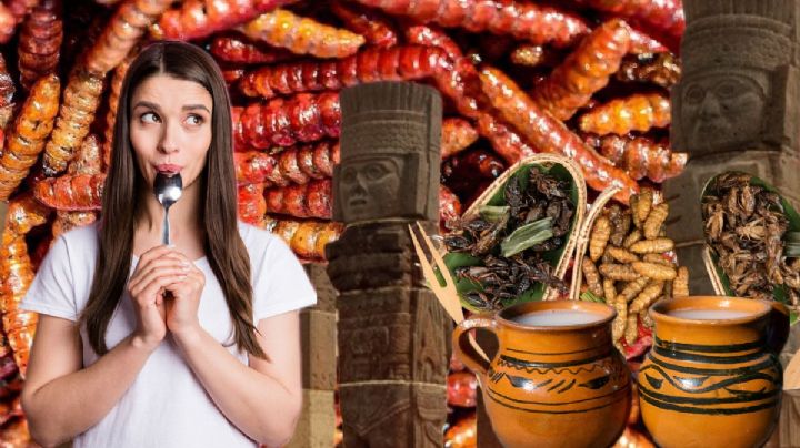 Insectos, cerveza y pulque en este festival gastronómico de Hidalgo; aquí los detalles