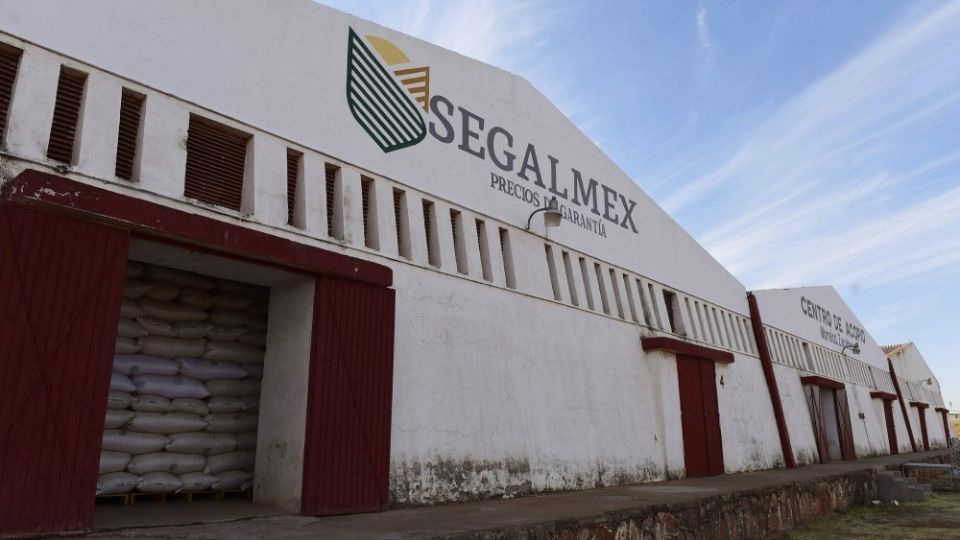 Segalmex pagó 1,700 millones de pesos a 2 empresas para procesar leche bronca y obtener leche en polvo y crema; al final no recibió ni la devolución del dinero ni el producto