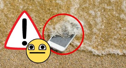 Vacaciones de verano: Esto debes hacer si se te cae tu celular al agua