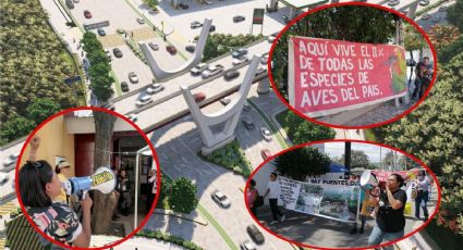 Ciudadanos buscan tumbar con amparos obra “Circuito Interior, Chiapas de Corazón”