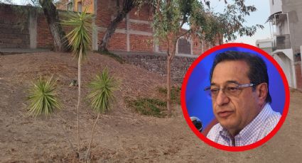 Propone Salim reforestar áreas de donación en colonias y fraccionamientos de León