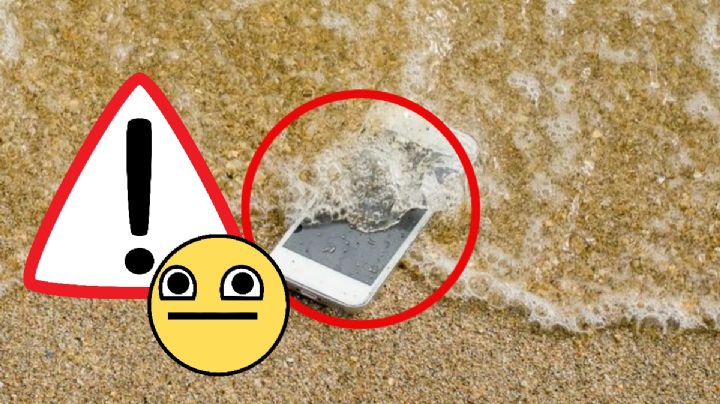 Vacaciones de verano: Esto debes hacer si se te cae tu celular al agua