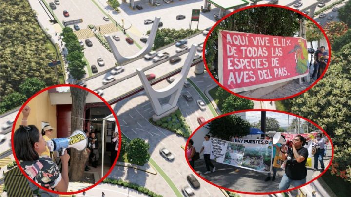 Ciudadanos buscan tumbar con amparos obra “Circuito Interior, Chiapas de Corazón”