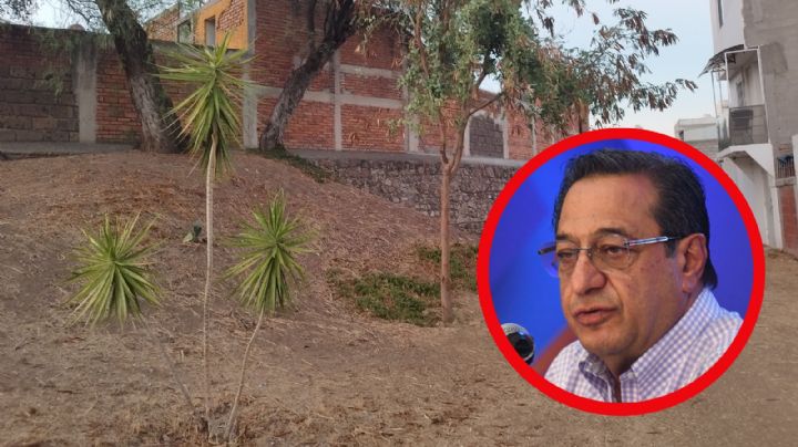 Propone Salim reforestar áreas de donación en colonias y fraccionamientos de León